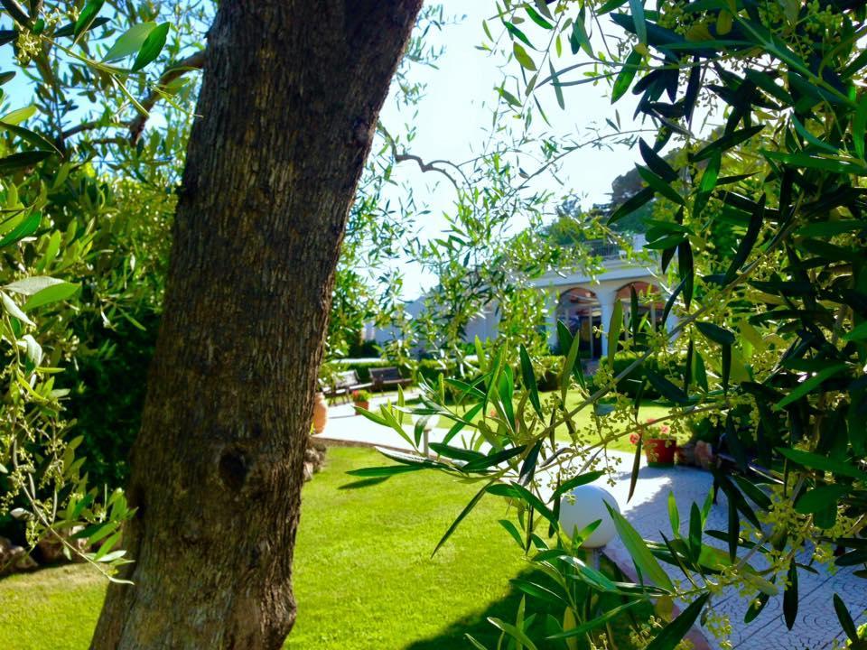 Hotel D'Altavilla Canosa di Puglia Luaran gambar