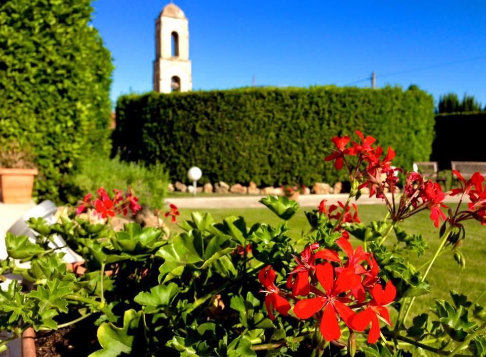Hotel D'Altavilla Canosa di Puglia Luaran gambar